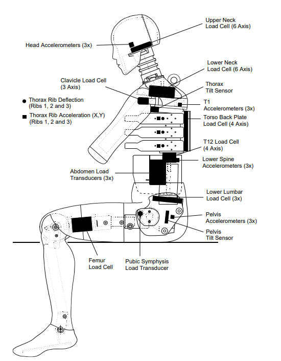 ES-2re Humanetics