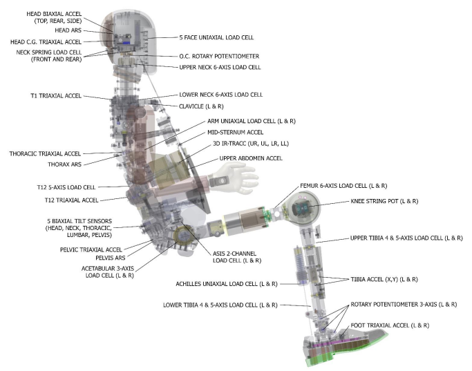 ES-2re Humanetics