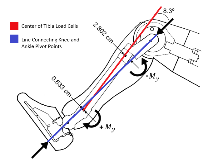 Hybrid III tibia moment-correction offsets